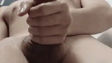 Screenshot 2025 11 20 155029