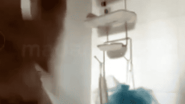 Screenshot 2026 03 30 143444